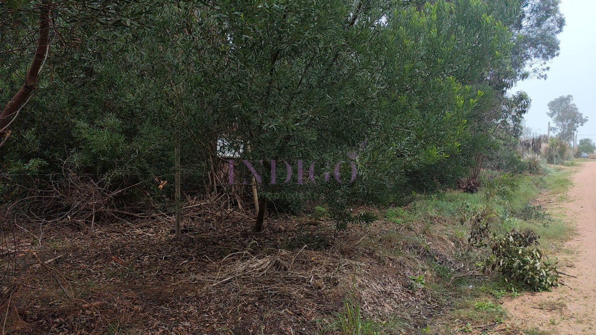Terreno Ref.1313 - Terreno en Venta en Santa Monica