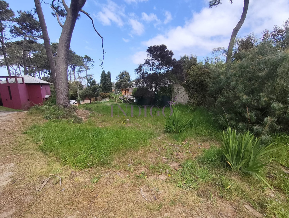 Terreno Ref.1418 - Terreno en Venta en Montoya