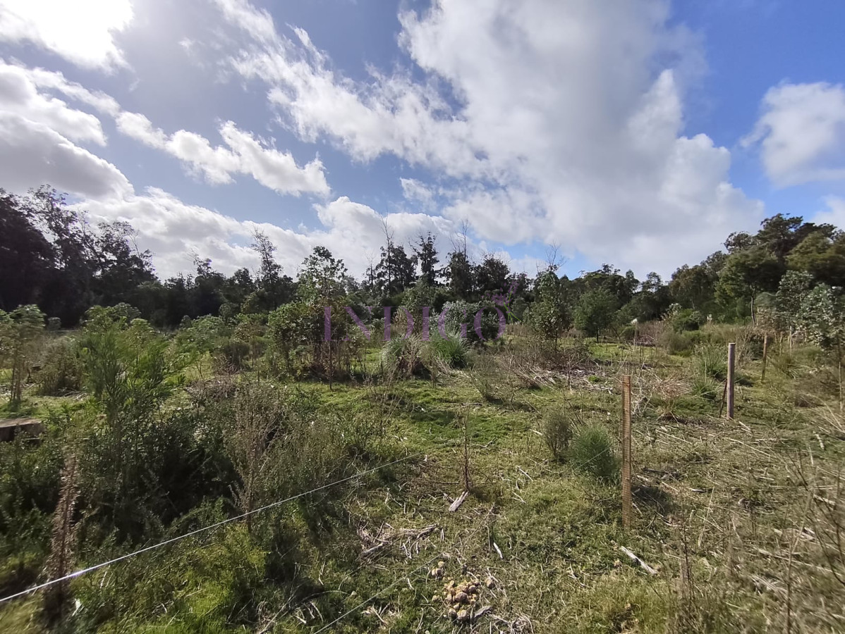 Terreno Ref.817 - Terreno en Eden Rock en Venta! 600mts a menos de 200mts del Mar!