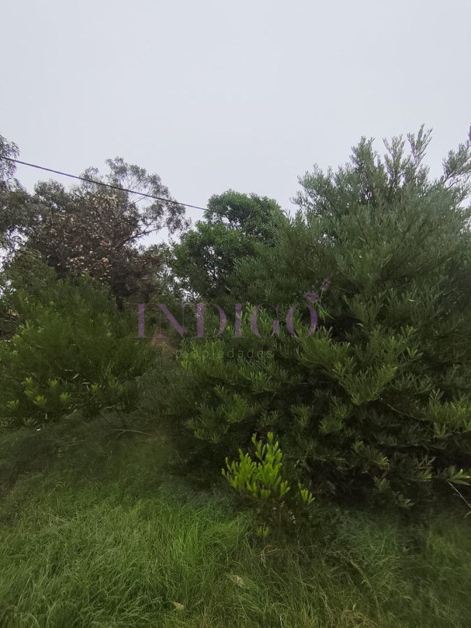 Terreno en Venta en Santa Monica - IDG1315T