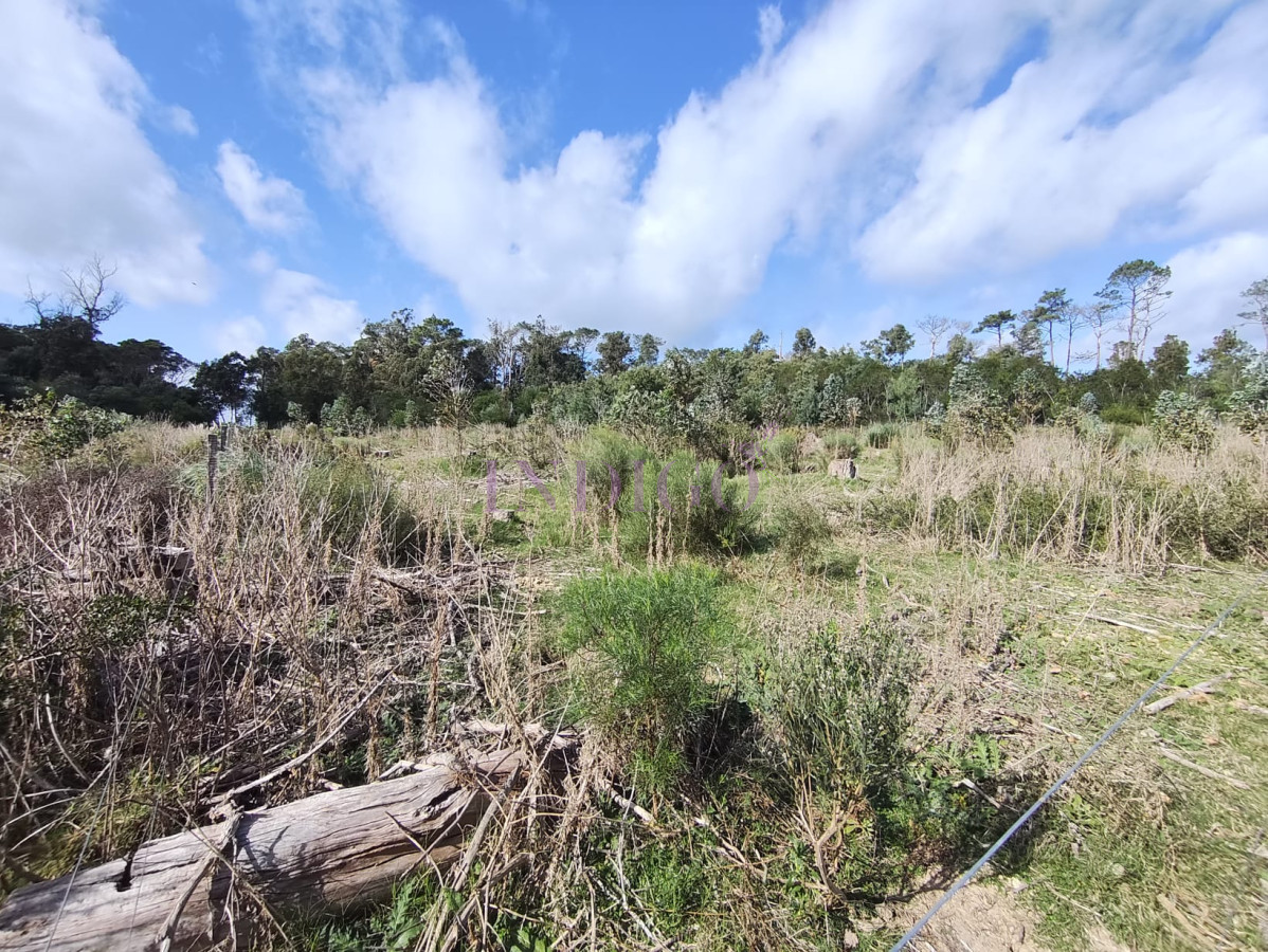 Terreno Ref.817 - Terreno en Eden Rock en Venta! 600mts a menos de 200mts del Mar!