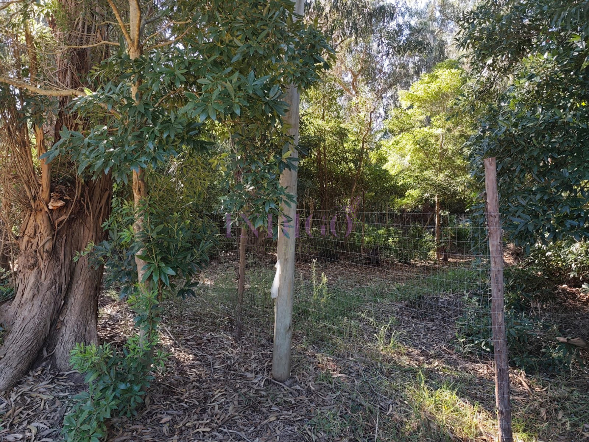 Terreno Ref.1230 - Terreno en Venta en Santa Monica