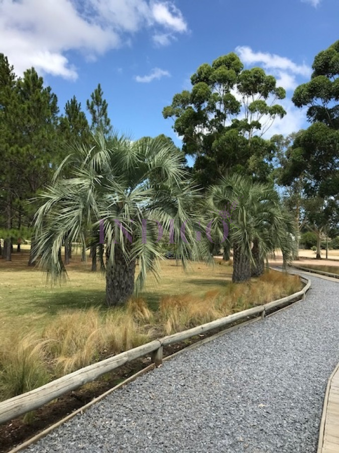 Terreno Ref.533 - Imperdible lote en venta en el corazón de El Quijote.