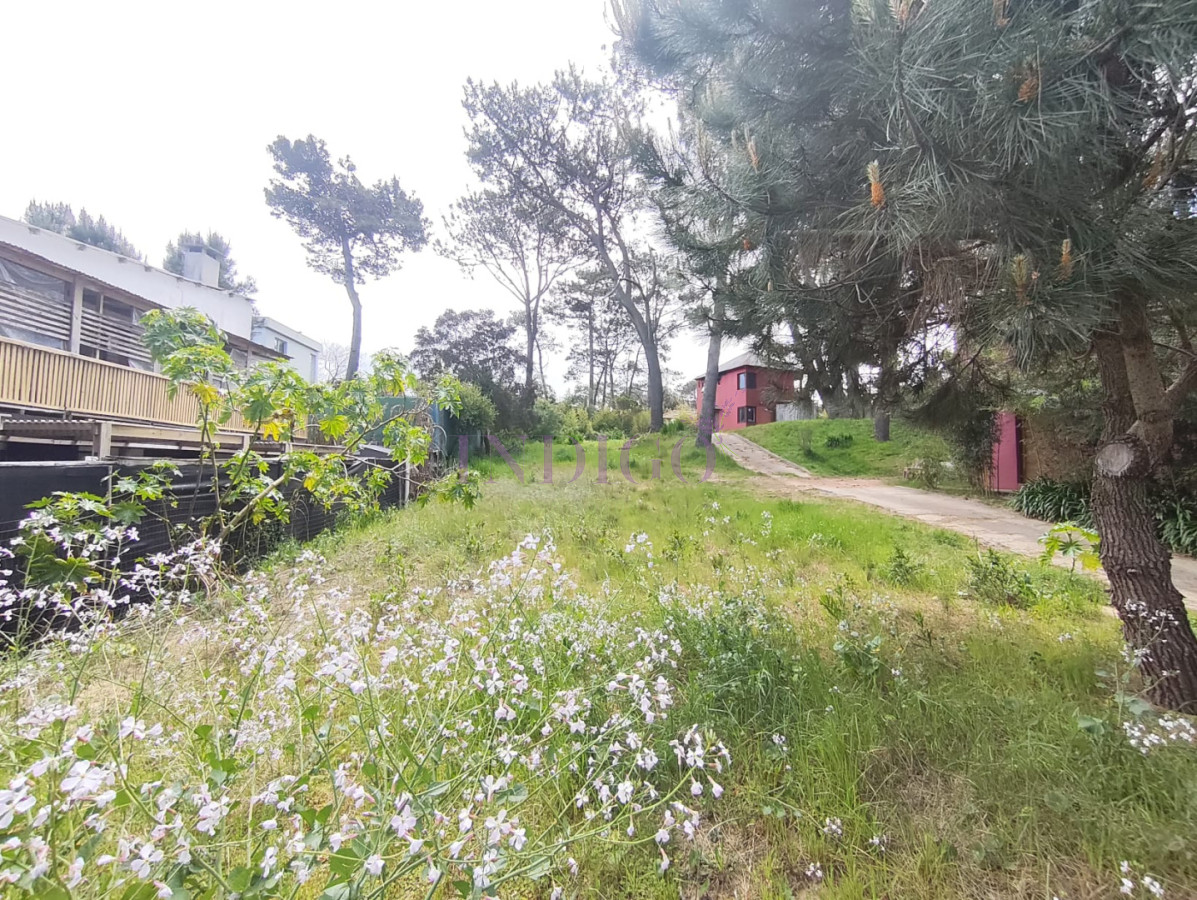 Terreno Ref.1418 - Terreno en Venta en Montoya
