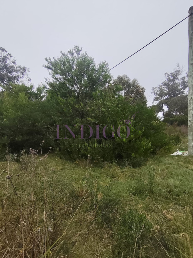 Terreno Ref.1315 - Terreno en Venta en Santa Monica
