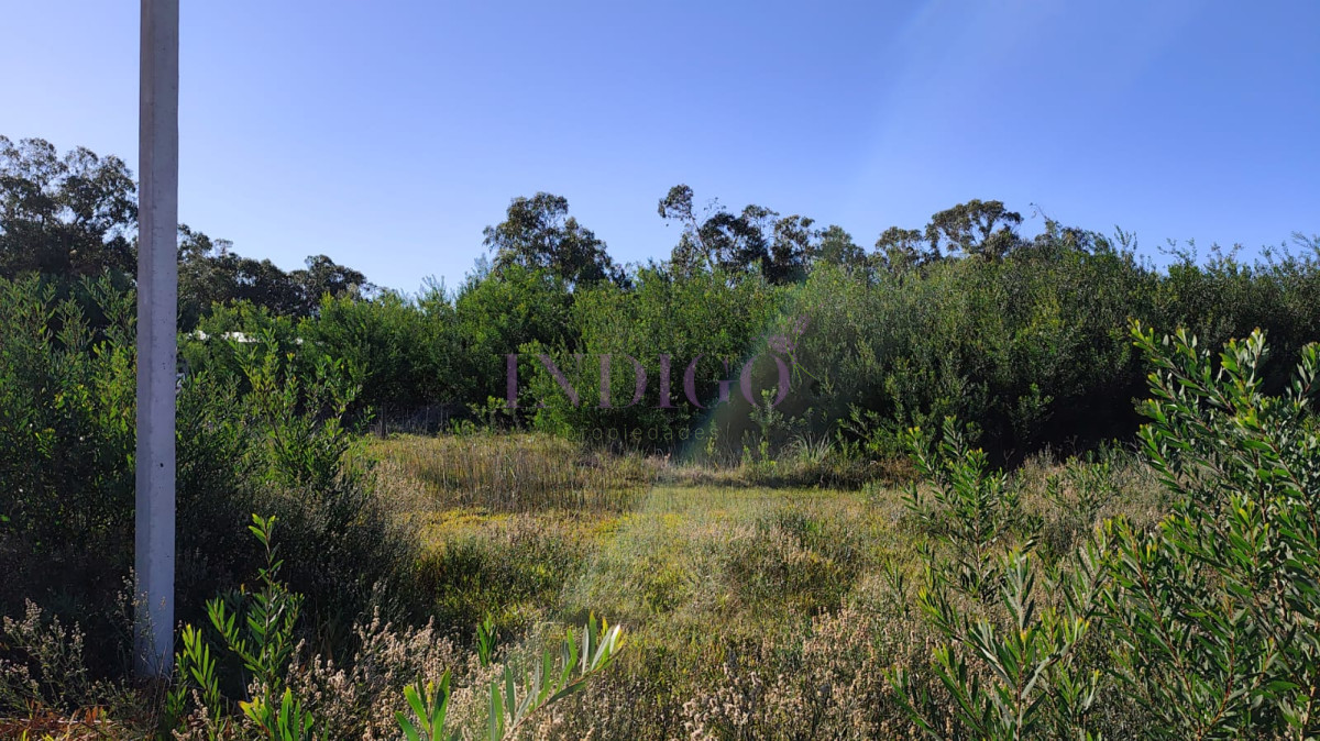 Terreno Ref.1314 - Terreno en Venta en Santa Monica