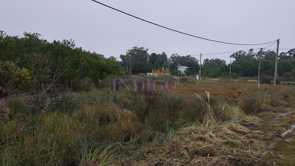 Terreno Ref.1314 - Terreno en Venta en Santa Monica