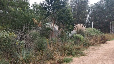 Terreno en Venta en Santa Monica