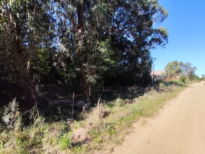 Terreno en Venta en Santa Monica