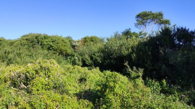 Terreno en Venta en Santa Monica