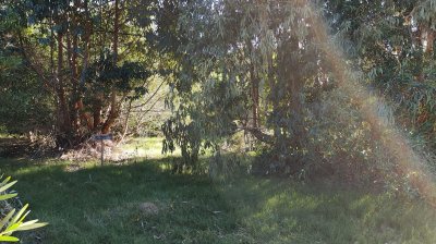 Terreno en Venta en Santa Monica