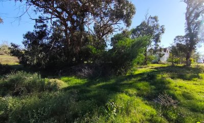 Terreno en Venta en Santa Monica