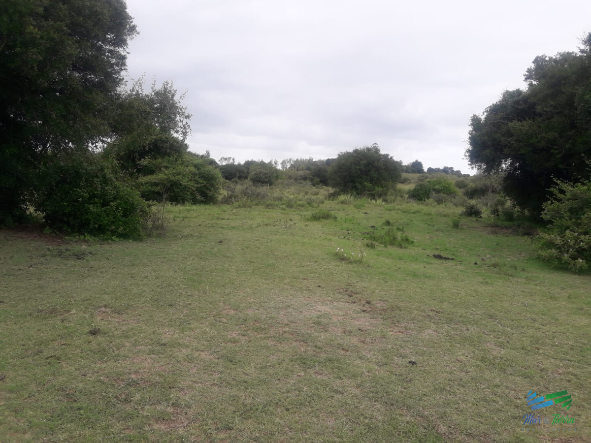 Campo Ref.4075 - Campo de 5 has con 5891 m2