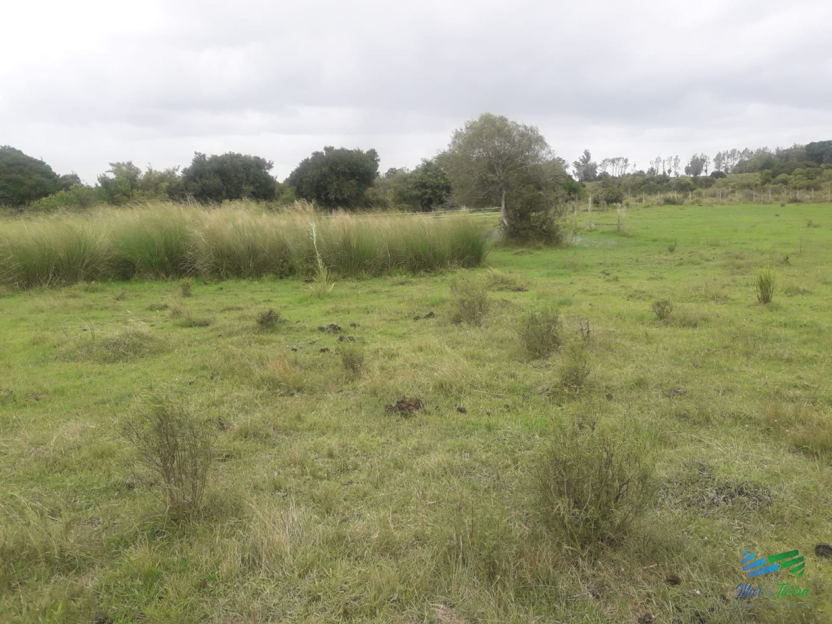 Campo Ref.4075 - Campo de 5 has con 5891 m2