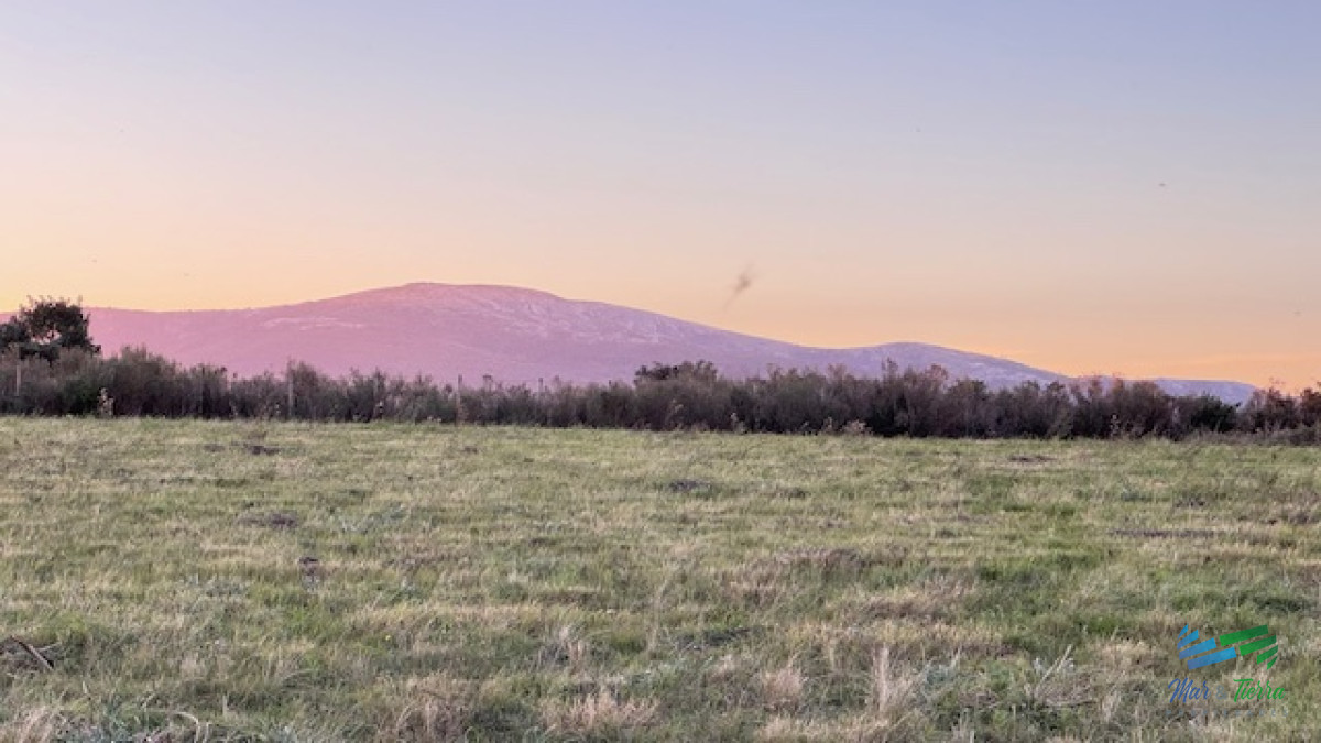 Campo Ref.5463 - Chacra de 6 has con 664 m2 - cerca de Piriapolis y del parque de fauna natural