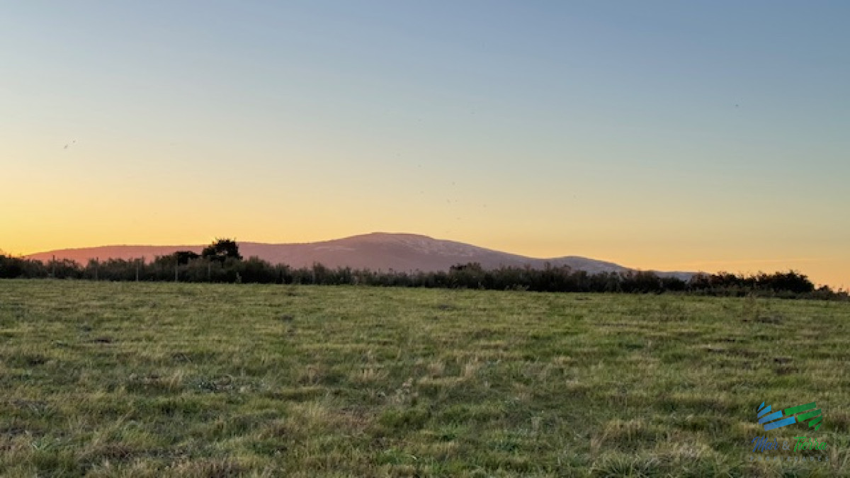Campo Ref.5463 - Chacra de 6 has con 664 m2 - cerca de Piriapolis y del parque de fauna natural