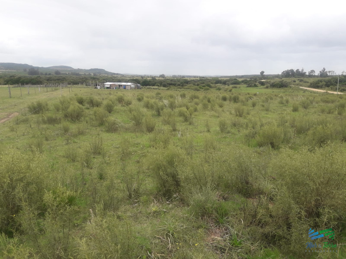 Campo Ref.4075 - Campo de 5 has con 5891 m2