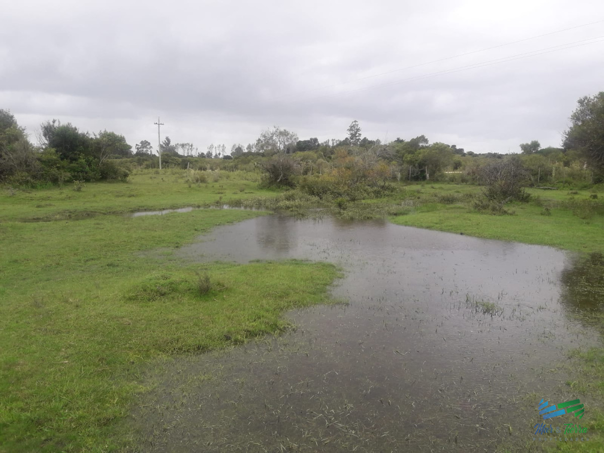 Campo Ref.4075 - Campo de 5 has con 5891 m2
