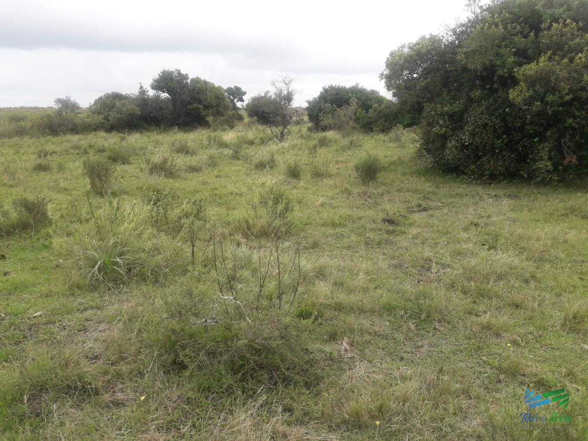 Campo Ref.4075 - Campo de 5 has con 5891 m2