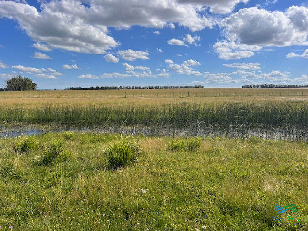 Campo en Durazno - GoPunta - Portal Inmobiliario de Punta del Este - Maldonado