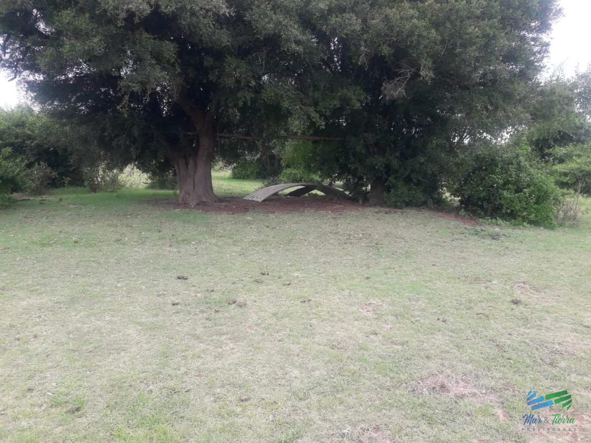 Campo Ref.4075 - Campo de 5 has con 5891 m2