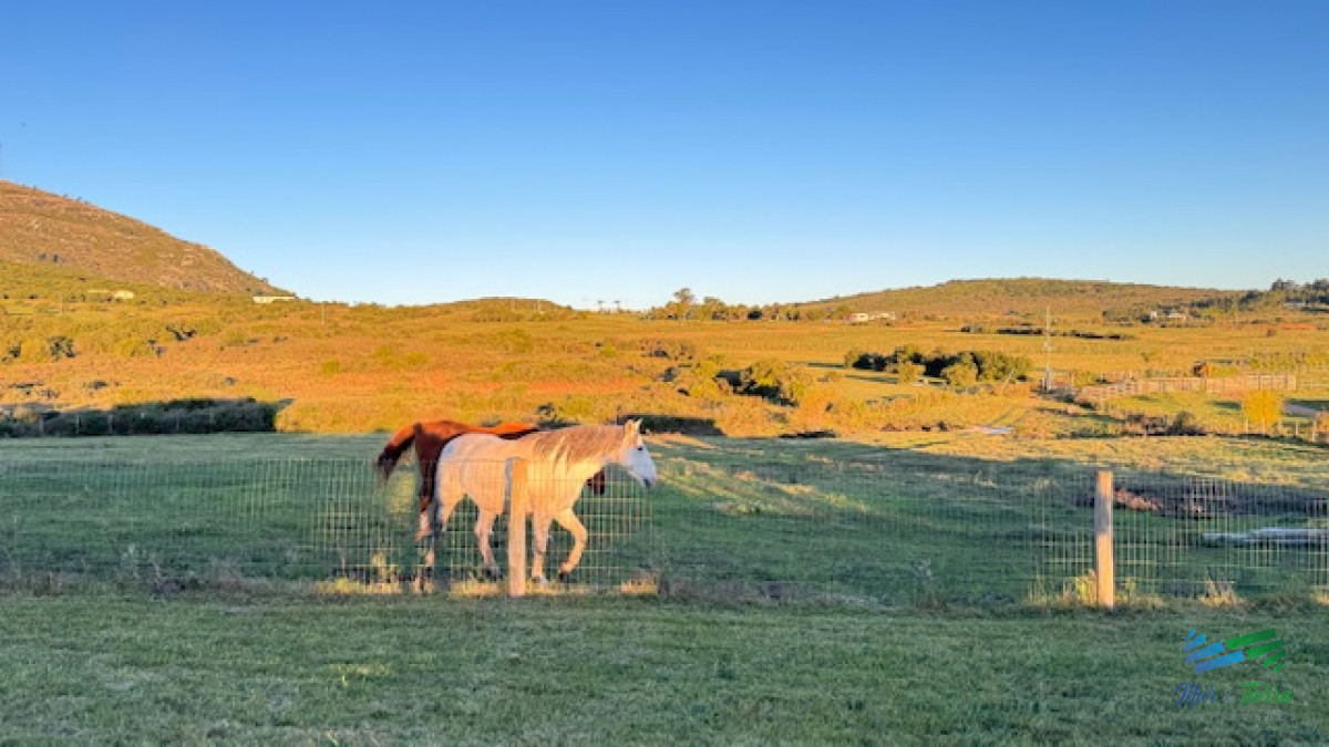 Campo Ref.5463 - Chacra de 6 has con 664 m2 - cerca de Piriapolis y del parque de fauna natural