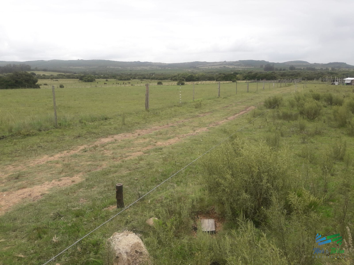 Campo Ref.4075 - Campo de 5 has con 5891 m2