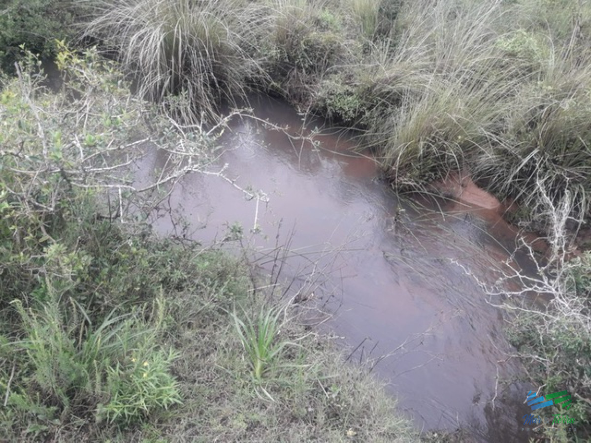 Campo Ref.4075 - Campo de 5 has con 5891 m2