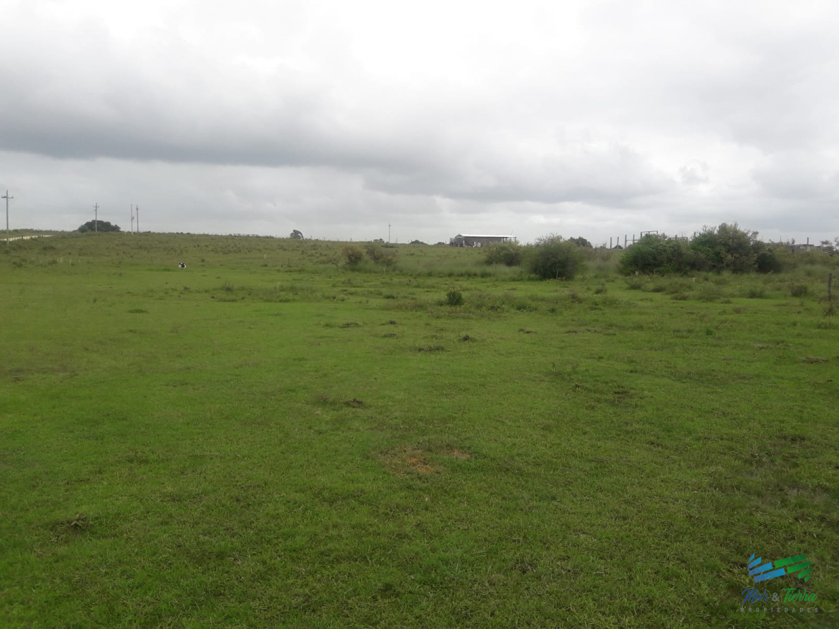 Campo Ref.4075 - Campo de 5 has con 5891 m2