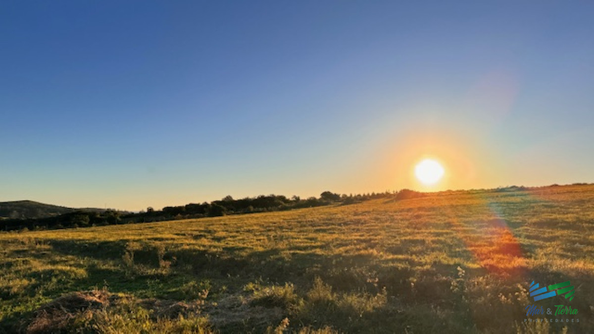 Campo Ref.5463 - Chacra de 6 has con 664 m2 - cerca de Piriapolis y del parque de fauna natural