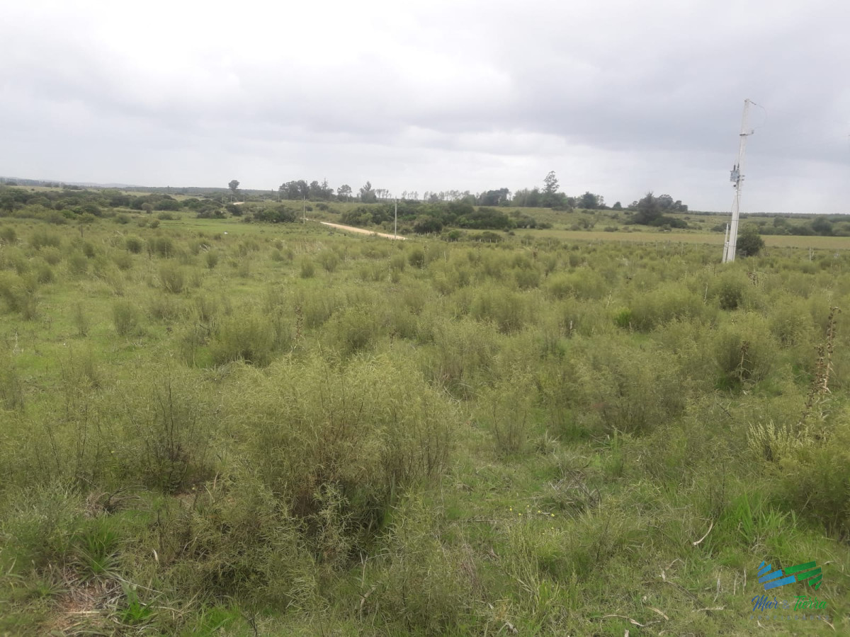 Campo Ref.4075 - Campo de 5 has con 5891 m2