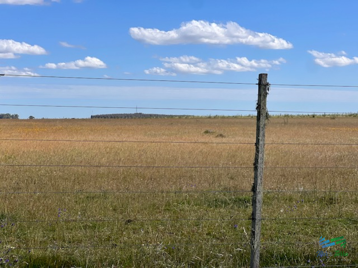 Campo en Durazno - GoPunta - Portal Inmobiliario de Punta del Este - Maldonado