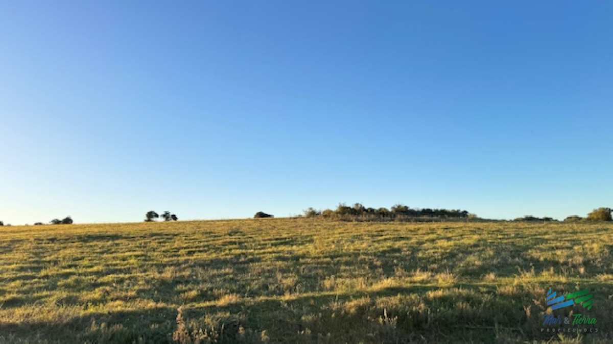 Campo Ref.5463 - Chacra de 6 has con 664 m2 - cerca de Piriapolis y del parque de fauna natural