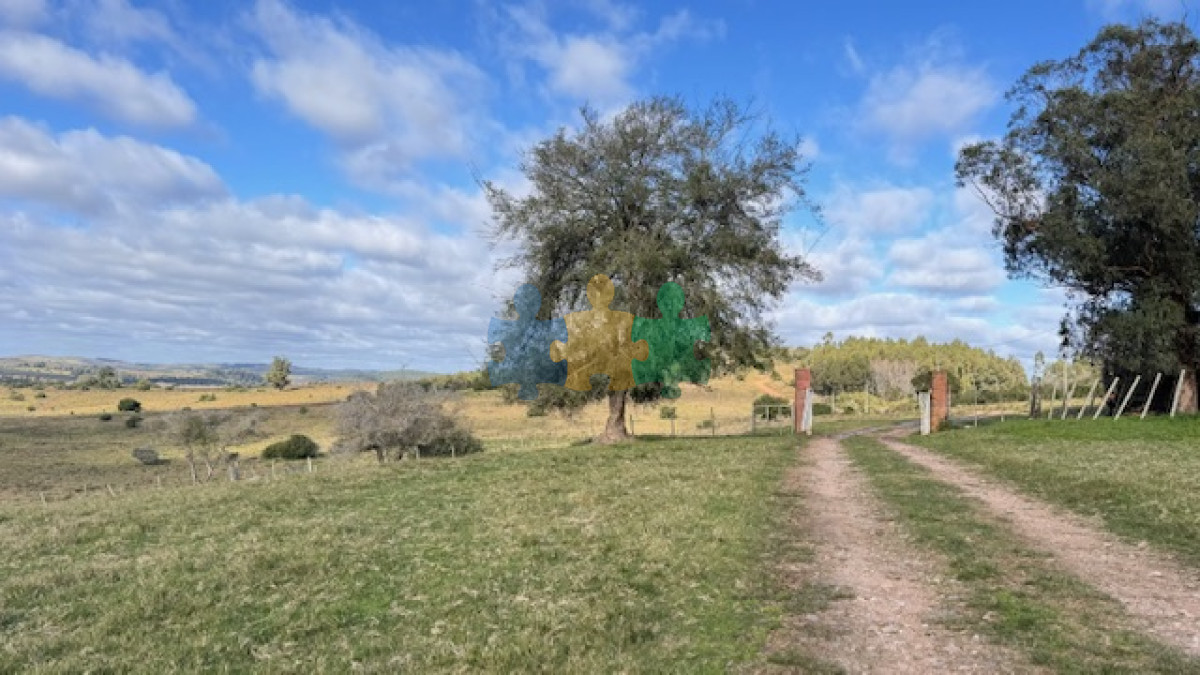 Campo 57 has   Agricola Ganadero cerca de Minas! muy bueno!   Ref : EQP6559 - GoPunta - Portal Inmobiliario de Punta del Este - Maldonado