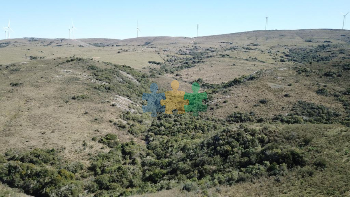 Campo 86 has 6937 m2 en la Cañas   Ref : EQP6134 - GoPunta - Portal Inmobiliario de Punta del Este - Maldonado