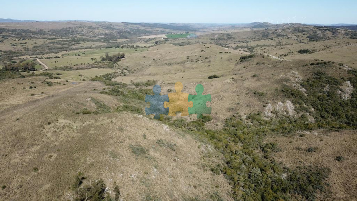 Campo 86 has 6937 m2 en la Cañas   Ref : EQP6134 - GoPunta - Portal Inmobiliario de Punta del Este - Maldonado
