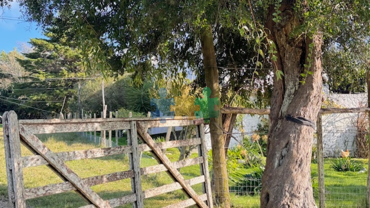 Campo 57 has   Agricola Ganadero cerca de Minas! muy bueno!   Ref : EQP6559 - GoPunta - Portal Inmobiliario de Punta del Este - Maldonado