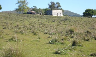 Campo 96 has en Carape cuenta con costa de arroyo. - Ref : EQP2775