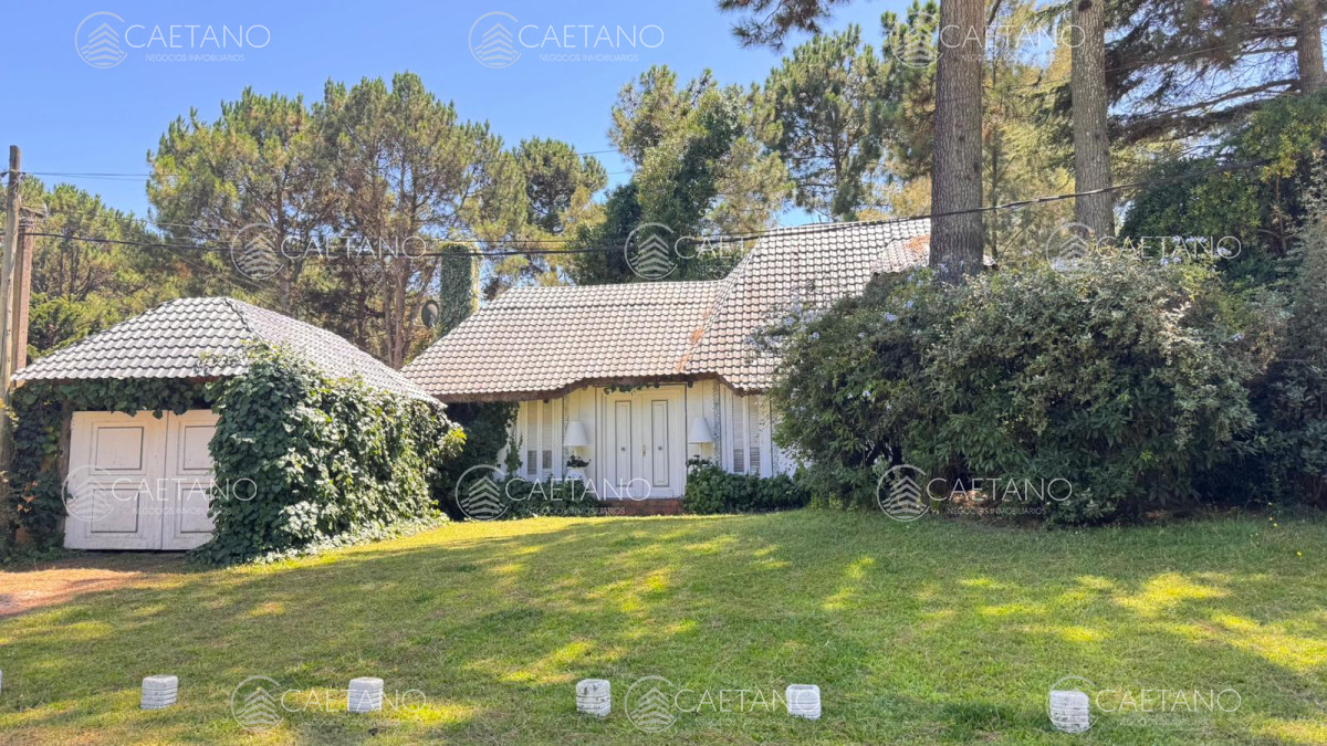 Pinares - GoPunta - Portal Inmobiliario de Punta del Este - Maldonado
