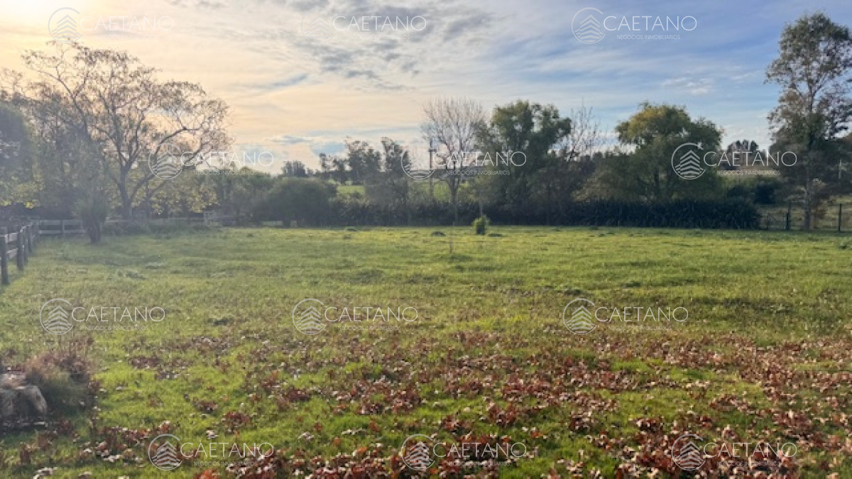 Campo de 4 has 1602 m2 muy cerca de ruta 12 y la 9. - GoPunta - Portal Inmobiliario de Punta del Este - Maldonado