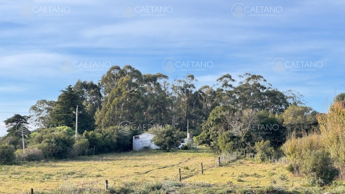 Campo de 4 has 1602 m2 muy cerca de ruta 12 y la 9. - GoPunta - Portal Inmobiliario de Punta del Este - Maldonado