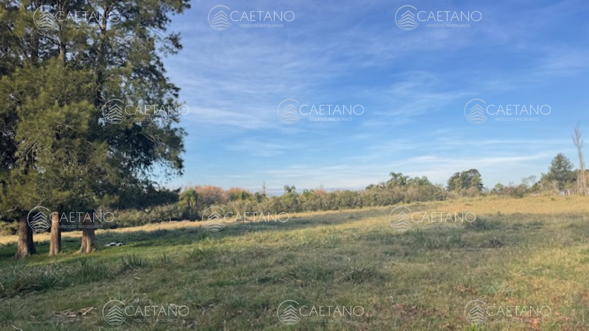 Campo de 4 has 1602 m2 muy cerca de ruta 12 y la 9. - GoPunta - Portal Inmobiliario de Punta del Este - Maldonado