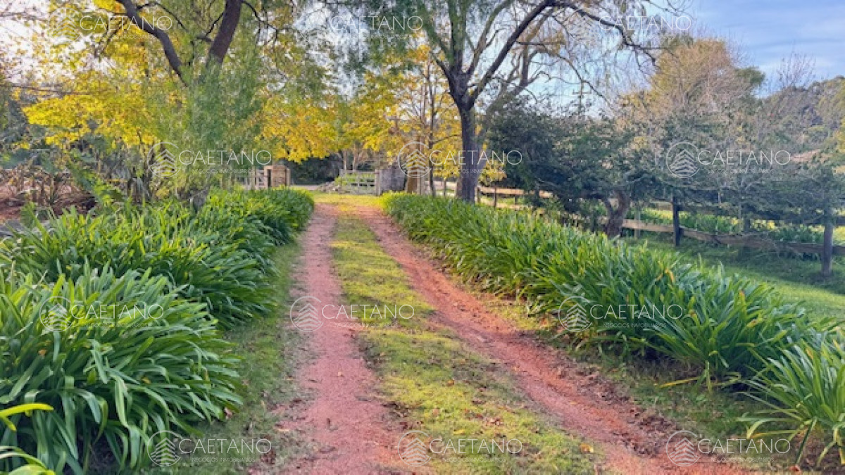 Campo de 4 has 1602 m2 muy cerca de ruta 12 y la 9. - GoPunta - Portal Inmobiliario de Punta del Este - Maldonado