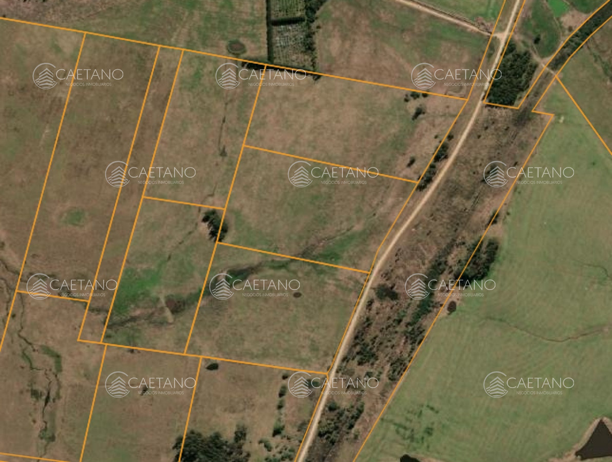 Chacras en VENTA en Garzon! Consultenos - GoPunta - Portal Inmobiliario de Punta del Este - Maldonado