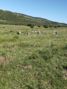 Se vende chacras en un lugar con vistas a las Sierras cerca de aigua - Hay Financiación 