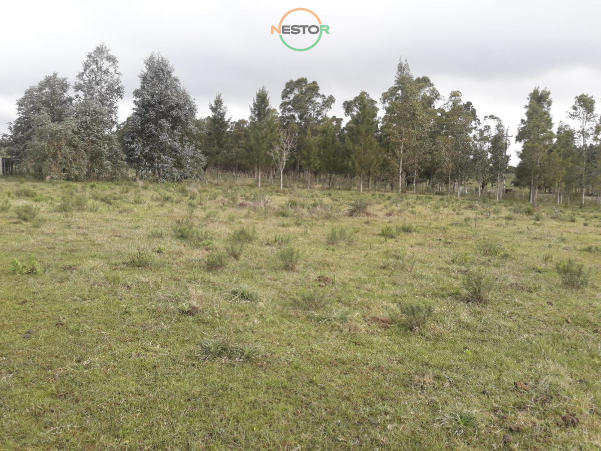 Chacra ID.5364 - Campo 5 has cerca ruta 12 - Consulte !!!!!!!