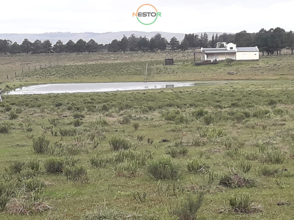 Chacra ID.5364 - Campo 5 has cerca ruta 12 - Consulte !!!!!!!