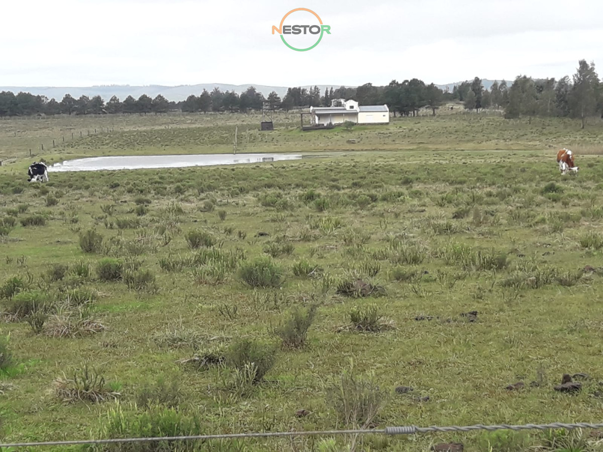 Chacra ID.5364 - Campo 5 has cerca ruta 12 - Consulte !!!!!!!