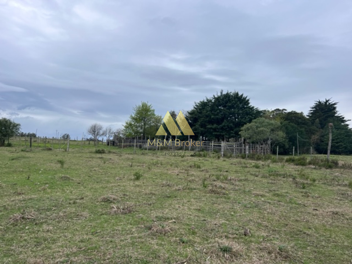 Campo Ref.348 - Campo de 22 has 6862 m2 cerca de Punta del Este