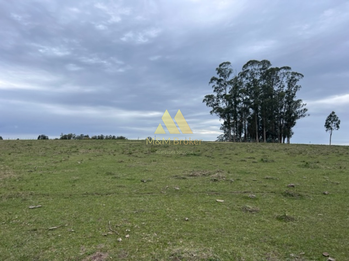 Campo Ref.348 - Campo de 22 has 6862 m2 cerca de Punta del Este